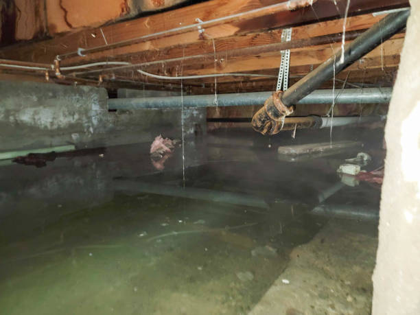 Best Commercial water damage restoration  in Hallettsville, TX