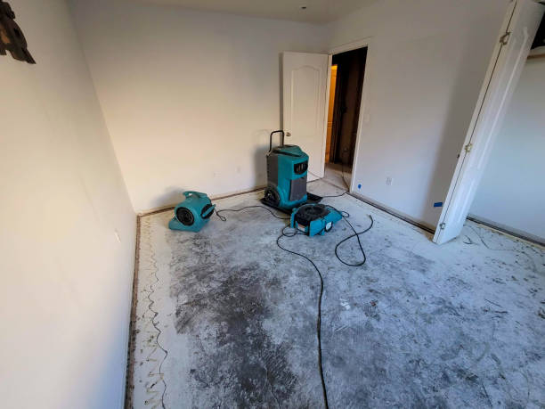 Best 24/7 water damage repair  in Hallettsville, TX