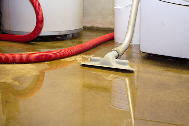 Best Emergency water damage restoration  in Hallettsville, TX