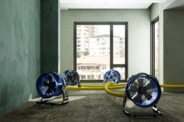 Water damage restoration mold remediation in Hallettsville, TX